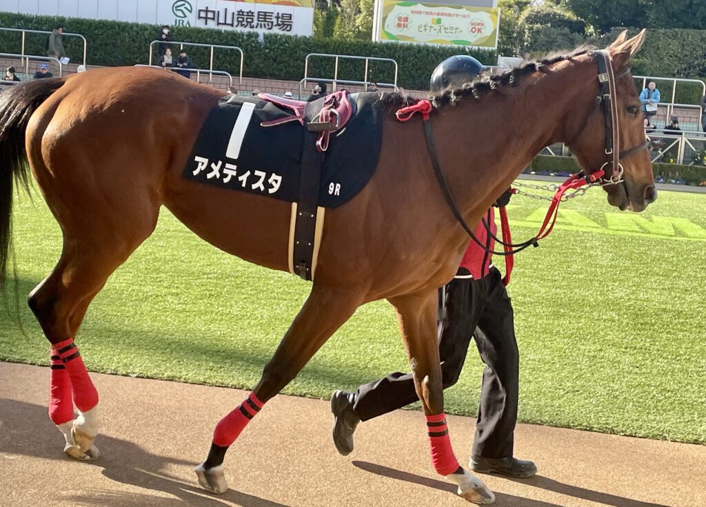 アメティスタの写真