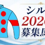 シルク2026年度募集馬評価のアイキャッチ画像